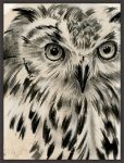 Picture of Charcoal Owl by Jennifer Paxton Parker