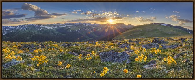 Picture of Colorado Sunflower Sunset by Rob Greebon