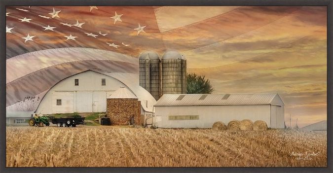 Picture of American Farmland by Lori Deiter