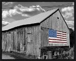 Picture of Flags Of Our Farmers IV by James McLoughlin