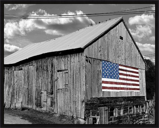 Picture of Flags Of Our Farmers IV by James McLoughlin