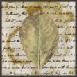 Picture of Earth Leaf II by Alonzo Saunders