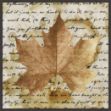 Picture of Earth Leaf I by Alonzo Saunders