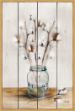 Picture of Cotton Stems by Marla Rae