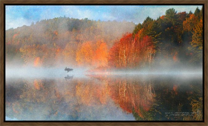Picture of Leverett Pond Sunrise by Chris Vest