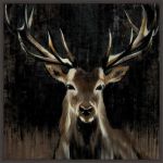 Picture of Young Buck by Liz Jardine