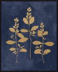 Picture of BOTANICAL STUDY GOLD II NAVY by JULIA PURINTON
