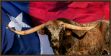Picture of TEXAS PRIDE BY ROBERT DAWSON