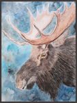 Picture of MOOSE MEMORIES BY WYNN DERR