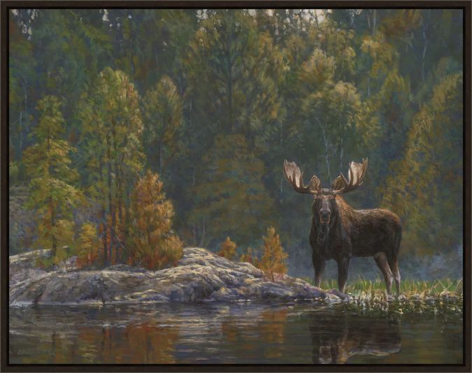 Picture of NORTH COUNTRY MOOSE BY BRUCE MILLER