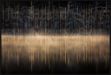 Picture of Cuejdel Lake by Dan Mirica
