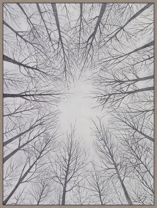 Picture of Deciduous Canopy II by Michael Willett