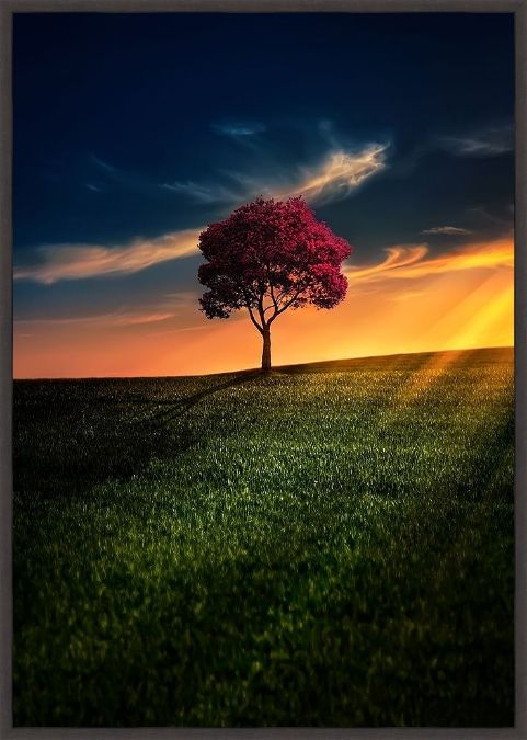 Picture of Awesome Solitude by Bess Hamiti