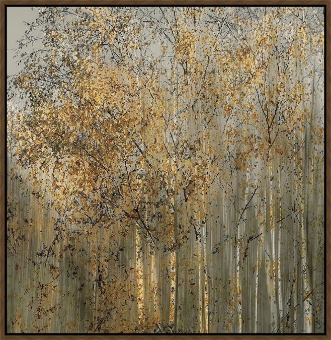 Picture of Birch Impression by Talen