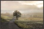 Picture of Foggy Country Road II by Lori Deiter