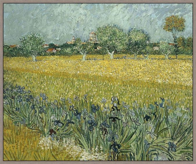 Picture of View Of Arles With Irises by Van Gogh