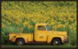 Picture of Yellow Vintage Sunflower Truck by Carrie Ann Grippo-Pike
