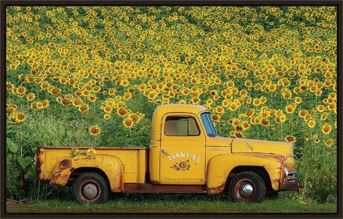 Picture of Yellow Vintage Sunflower Truck by Carrie Ann Grippo-Pike