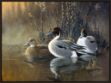 Picture of Pintail Trios by Wilhelm Goebel