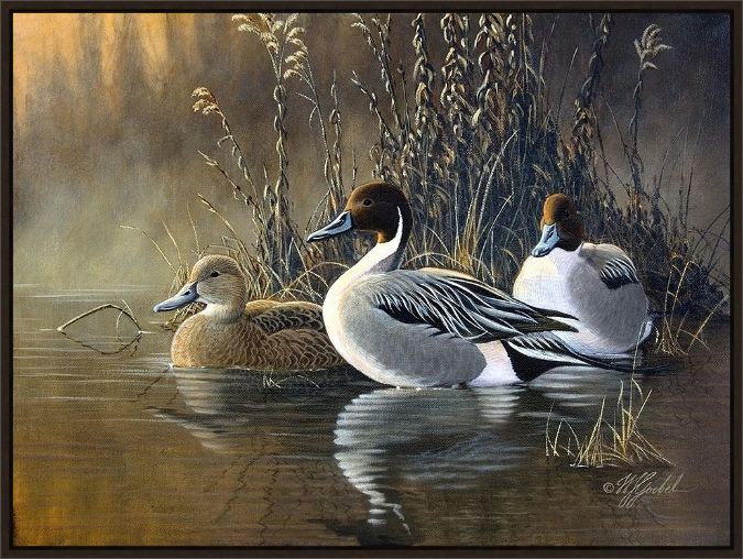 Picture of Pintail Trios by Wilhelm Goebel