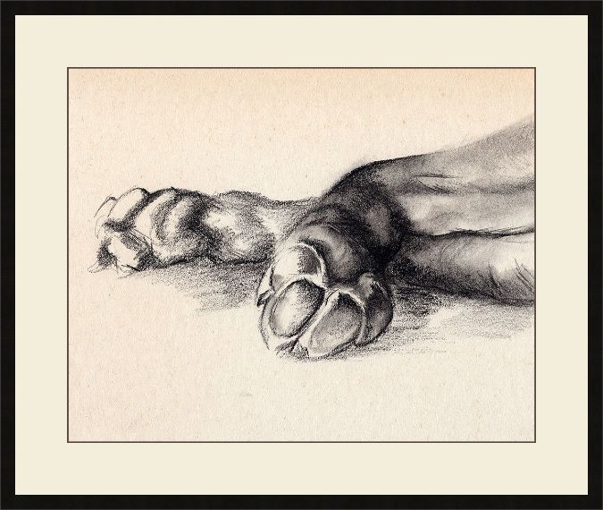 Picture of Charcoal Paws I by Jennifer Paxton Parker