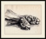 Picture of Charcoal Paws II by Jennifer Paxton Parker