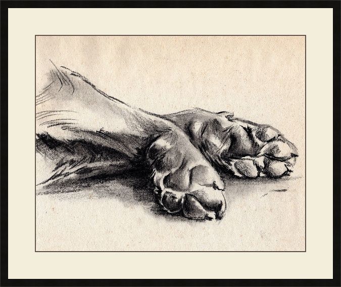 Picture of Charcoal Paws II by Jennifer Paxton Parker
