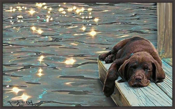 Picture of Lazy Lake Days by Murray Henderson