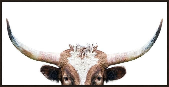 Picture of Peeking Longhorn Cow by Kathrin Pienaar