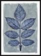 Picture of MODERN BOTANICAL STUDY II BY STELLAR DESIGN STUDIO